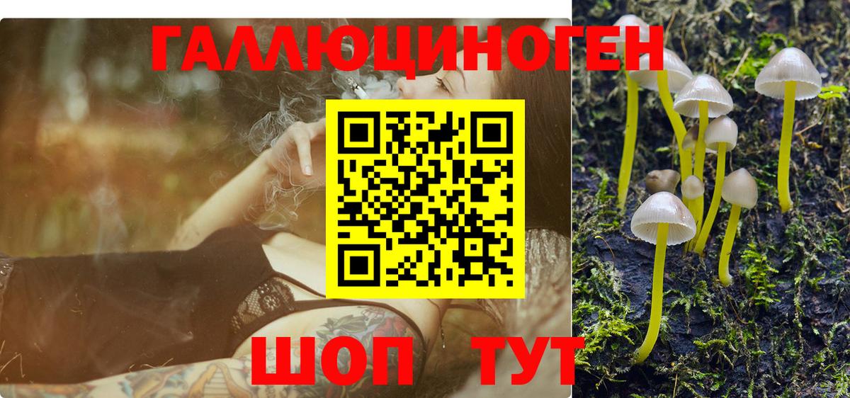 Галлюциногенные грибы Magic Shrooms Обнинск